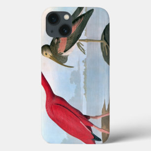 Audubon: Scarlet Ibis iPhone 13 Case