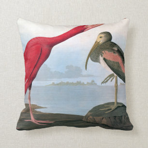 Audubon: Scarlet Ibis Cushion