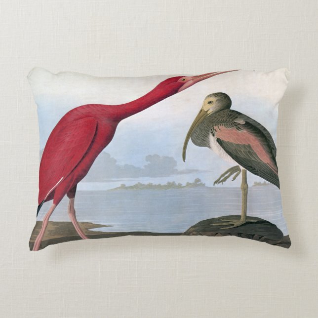 Audubon: Scarlet Ibis Decorative Cushion (Front)