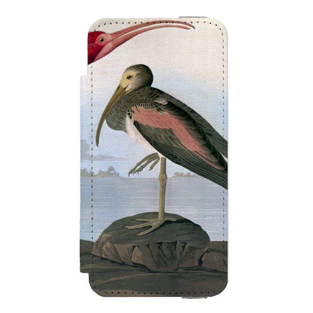 Audubon: Scarlet Ibis Incipio iPhone Wallet Case (Folio Front)