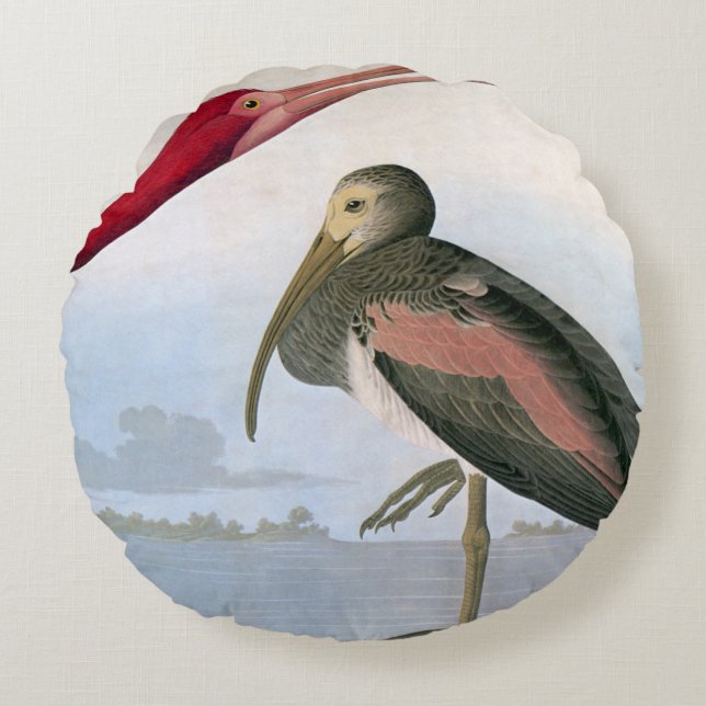 Audubon: Scarlet Ibis Round Cushion (Front)
