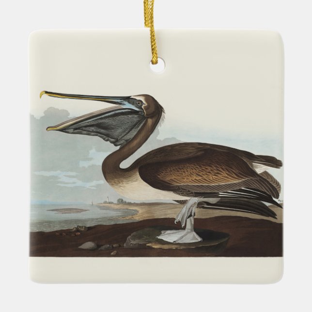 Audubon Seaside Brown Pelican Watercolor Painting Ceramic Ornament (Front)