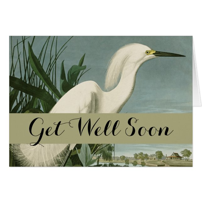 Audubon Snowy Heron White Egret Bird Birding (Front Horizontal)
