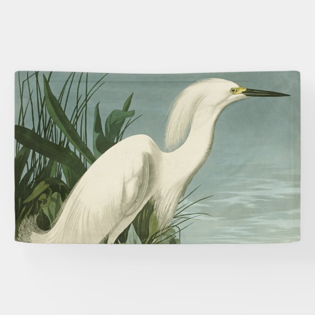 Audubon Snowy Heron White Egret Bird Birding Banner (Horizontal)