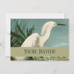 Audubon Snowy Heron White Egret Bird Birding Invitation