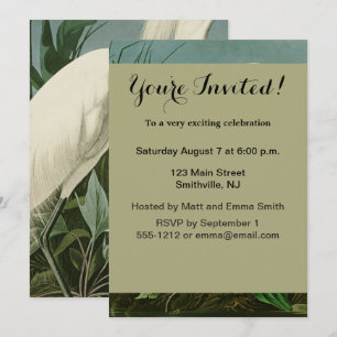 Audubon Snowy Heron White Egret Bird Birding Invitation