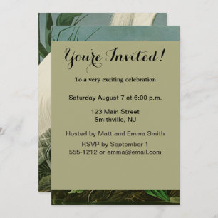 Audubon Snowy Heron White Egret Bird Birding Invitation