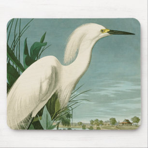 Audubon Snowy Heron White Egret Bird Birding Mouse Mat