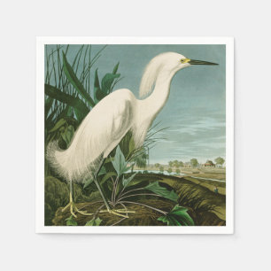 Audubon Snowy Heron White Egret Bird Birding Napkin