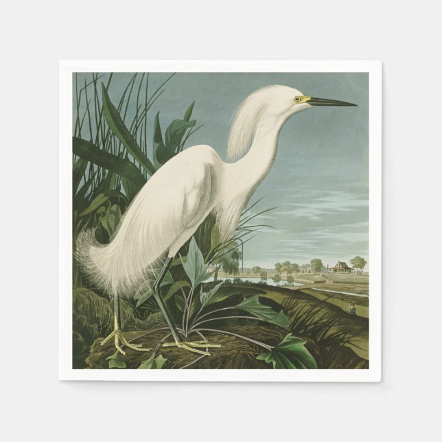 Audubon Snowy Heron White Egret Bird Birding Napkin (Front)