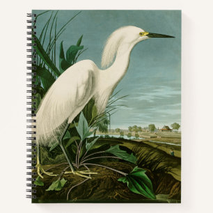 Audubon Snowy Heron White Egret Bird Birding Notebook