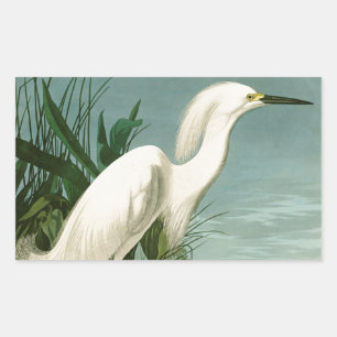 Audubon Snowy Heron White Egret Bird Birding Rectangular Sticker
