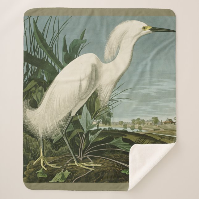 Audubon Snowy Heron White Egret Bird Birding Sherpa Blanket (Front)