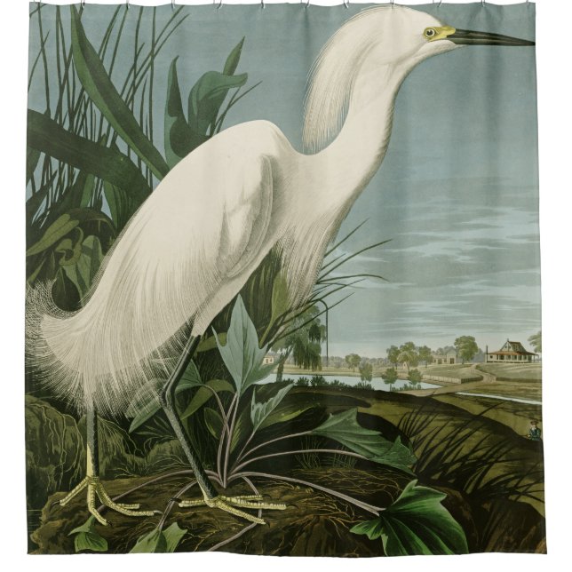 Audubon Snowy Heron White Egret Bird Birding Shower Curtain (Front)