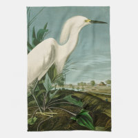 Audubon Snowy Heron White Egret Bird Birding