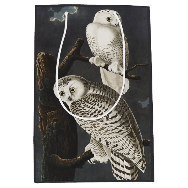 Audubon Snowy Owl Bird Artwork Medium Gift Bag (Front)