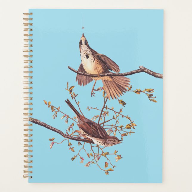 Audubon Song Sparrow with Tiny Spider Planner (Front)
