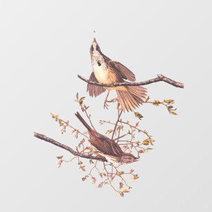 Audubon Song Sparrow with Tiny Spider Window Cling