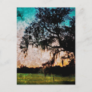 Audubon Sunset Textures Postcard