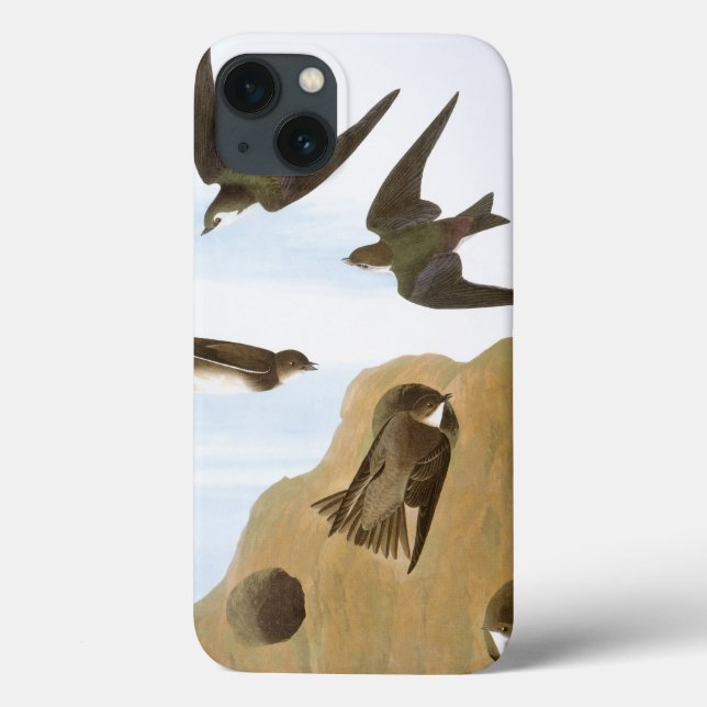 Audubon: Swallows Case-Mate iPhone Case (Back)