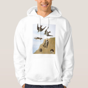 Audubon: Swallows Hoodie