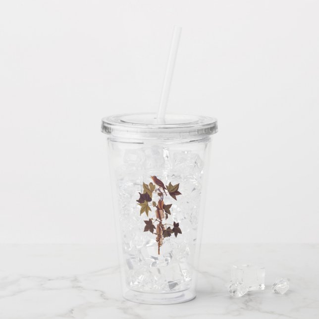 Audubon Traill's Flycatcher Songbird Acrylic Tumbler (Back Ice)