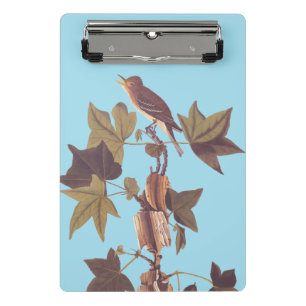 Audubon Traill's Flycatcher Songbird Mini Clipboard