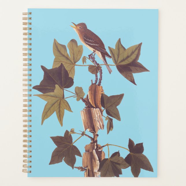 Audubon Traill's Flycatcher Songbird Planner (Front)