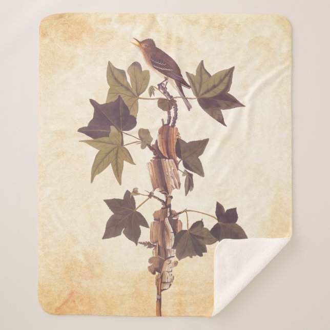 Audubon Traill's Flycatcher Songbird Sherpa Blanket (Front)