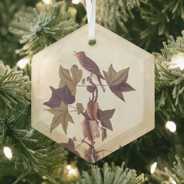 Audubon Trail's Flycatcher Bird Glass Tree Decoration (Insitu)