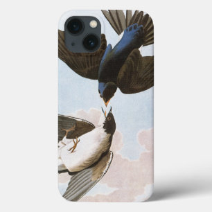 Audubon: Tree Swallow iPhone 13 Case