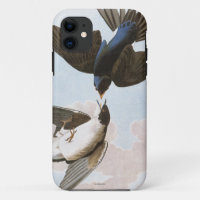 Audubon: Tree Swallow