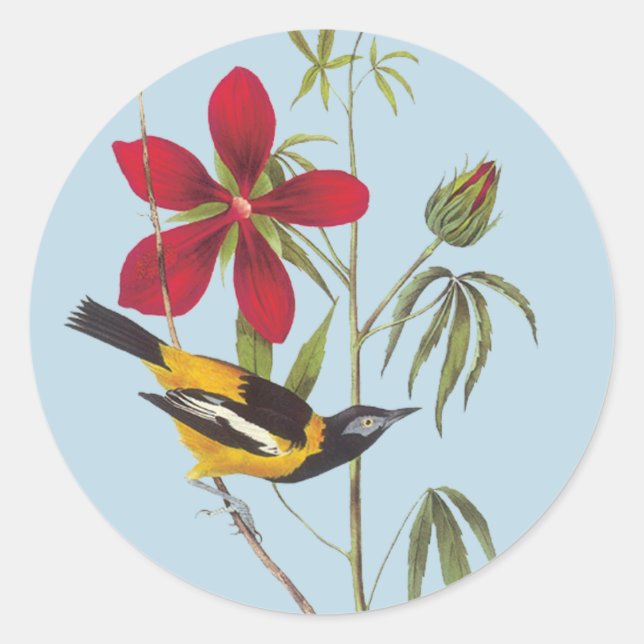 Audubon Troupial Bird Art Stickers (Front)