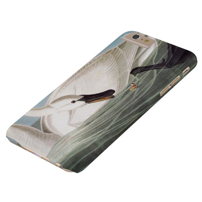 Audubon: Trumpeter Swan Case-Mate iPhone Case (Top)