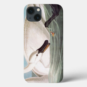 Audubon: Trumpeter Swan iPhone 13 Case