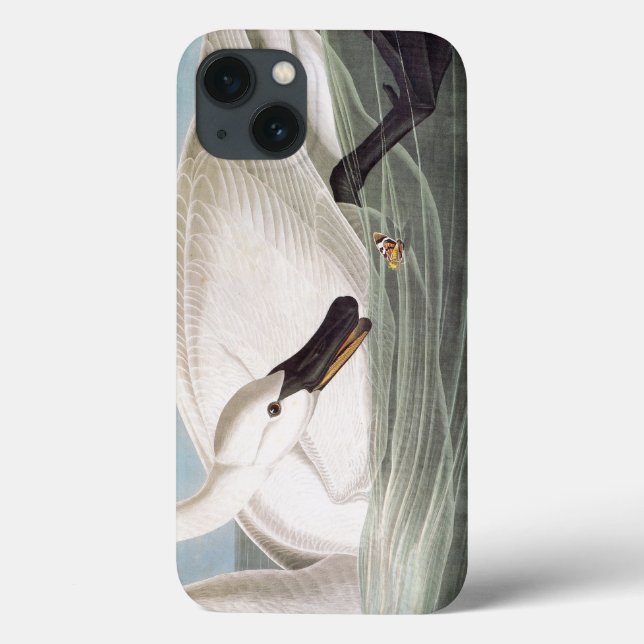 Audubon: Trumpeter Swan Case-Mate iPhone Case (Back)