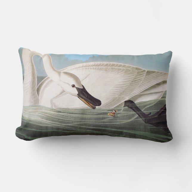 Audubon: Trumpeter Swan Lumbar Cushion (Front)