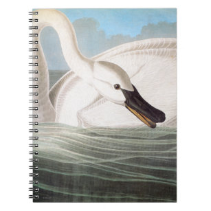 Audubon: Trumpeter Swan Notebook