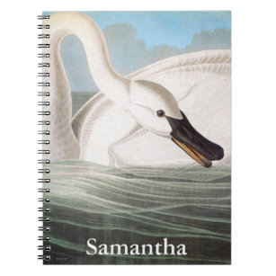 Audubon: Trumpeter Swan Notebook