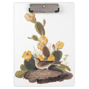 Audubon Vesper Sparrow and Prickly Pear Cactus Clipboard