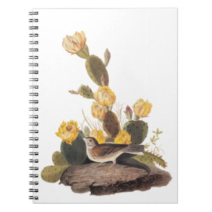 Audubon Vesper Sparrow and Prickly Pear Cactus Notebook