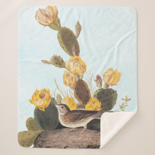 Audubon Vesper Sparrow and Prickly Pear Cactus Sherpa Blanket
