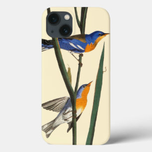 Audubon: Warbler iPhone 13 Case