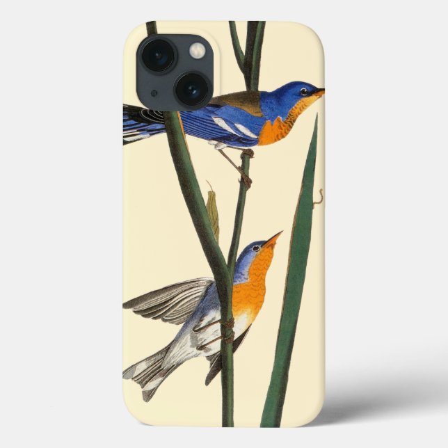 Audubon: Warbler Case-Mate iPhone Case (Back)