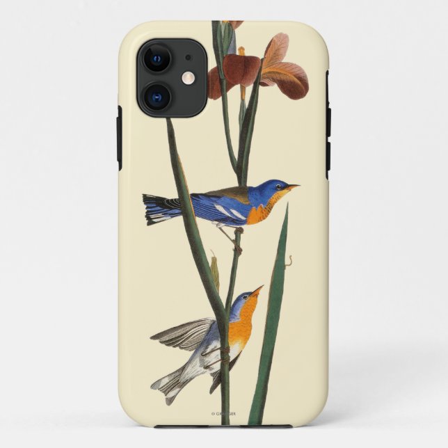 Audubon: Warbler Case-Mate iPhone Case (Back)