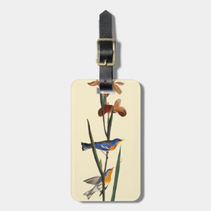 Audubon: Warbler Luggage Tag