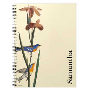Audubon: Warbler Notebook
