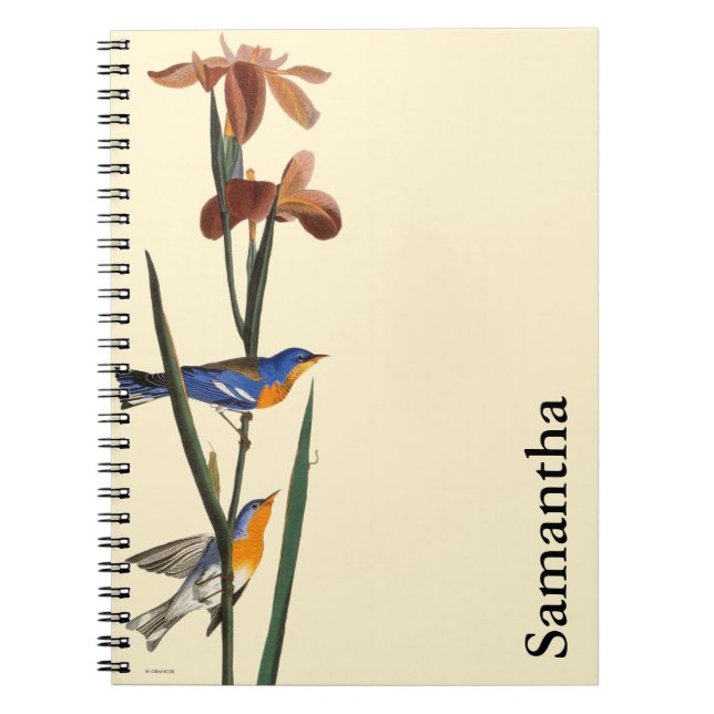 Audubon: Warbler Notebook (Front)