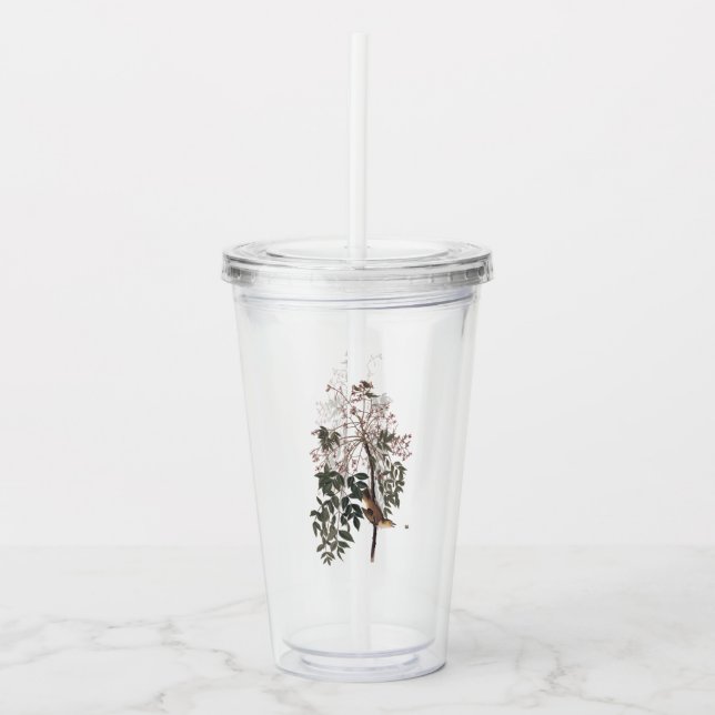 Audubon White Eyed Vireo Song Bird Acrylic Tumbler (Front)