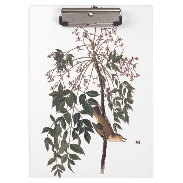 Audubon White Eyed Vireo Song Bird Art Clipboard (Front)